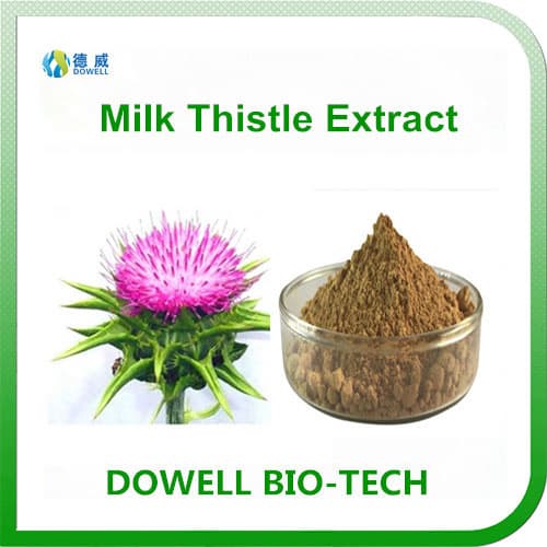 High Quality Milk Thistle Extract Silymarin 80_